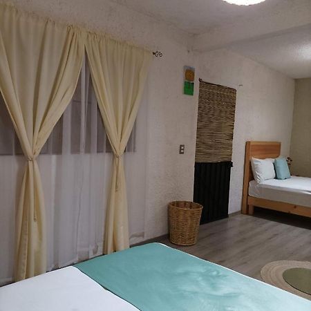 Alojamiento El Nixtamal Apartment Oaxaca Ngoại thất bức ảnh